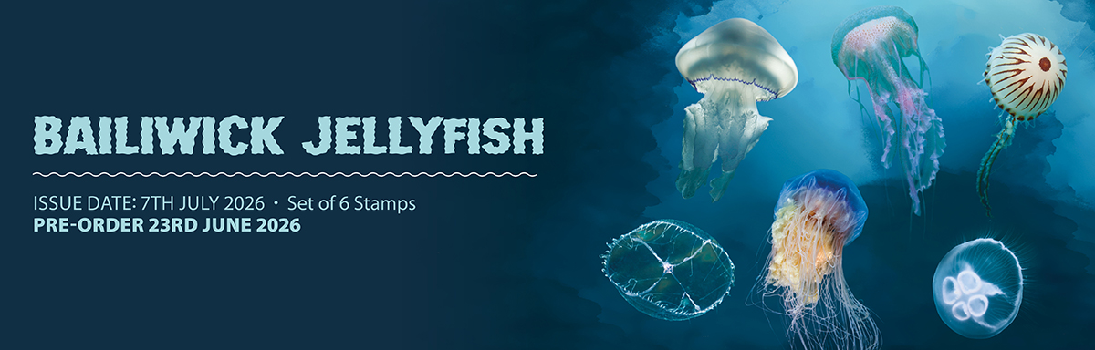 Bailiwick Jellyfish